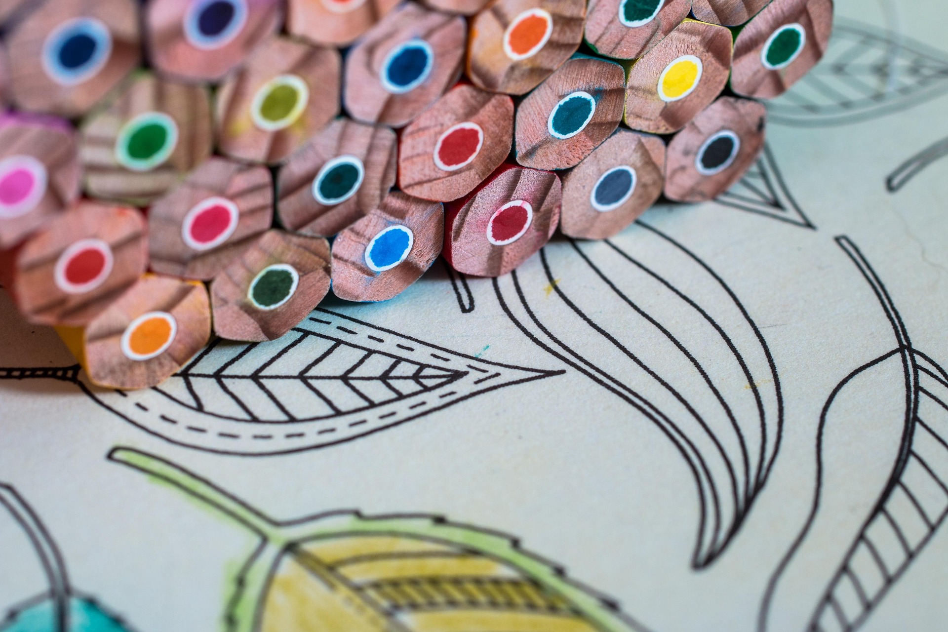 Coloring book page close-up